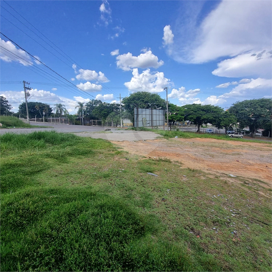 Foto REO1076143