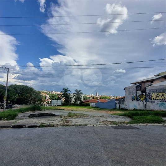 Foto REO1076143