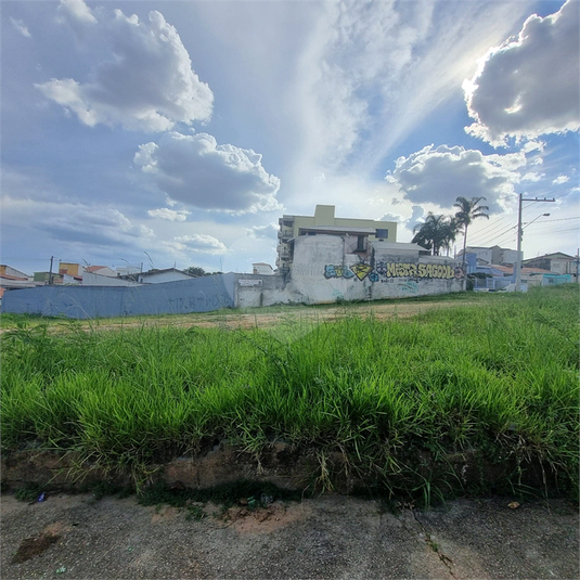 Foto REO1076143