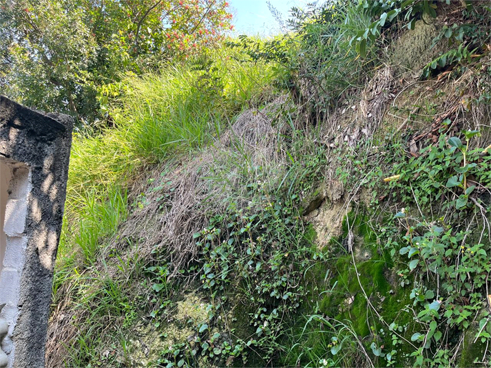 Foto REO1076164