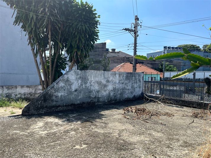 Foto REO1076164