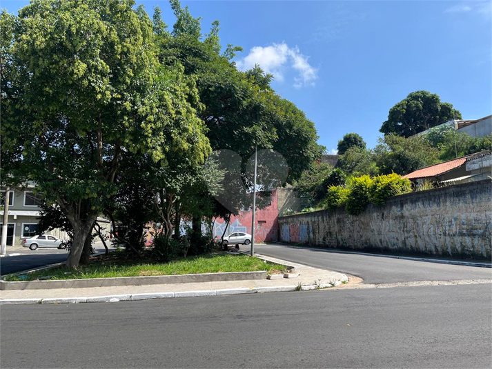 Foto REO1076164