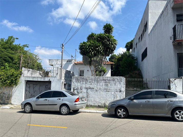 Foto REO1076164