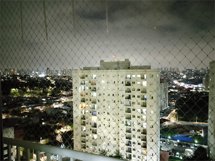 Foto REO1076169