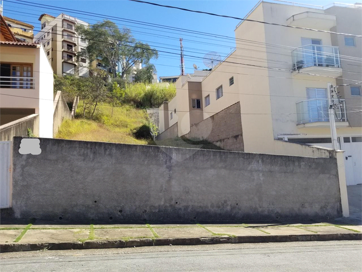 Foto REO1076193