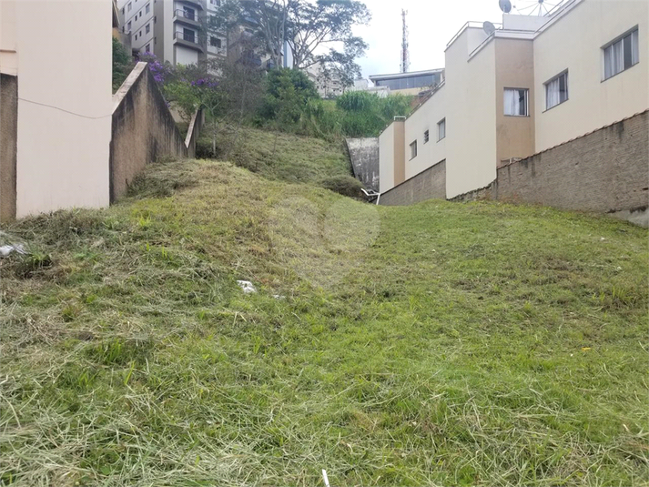 Foto REO1076193