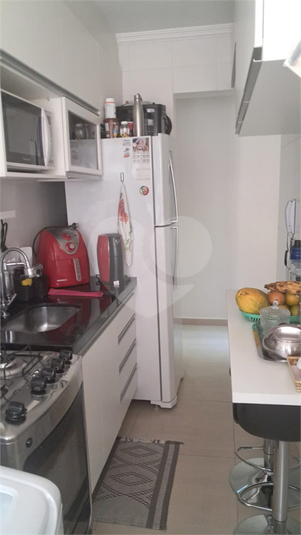 Foto REO1076241