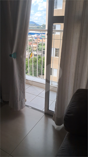 Foto REO1076241