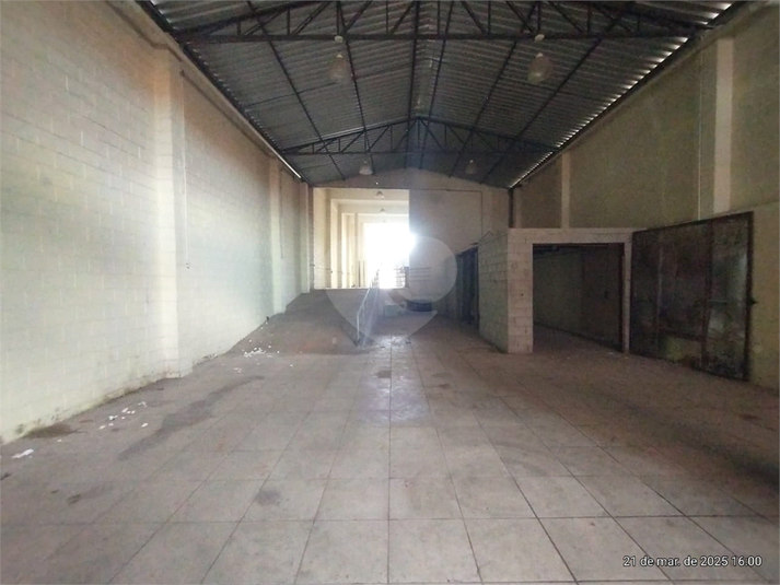 Foto REO1076242