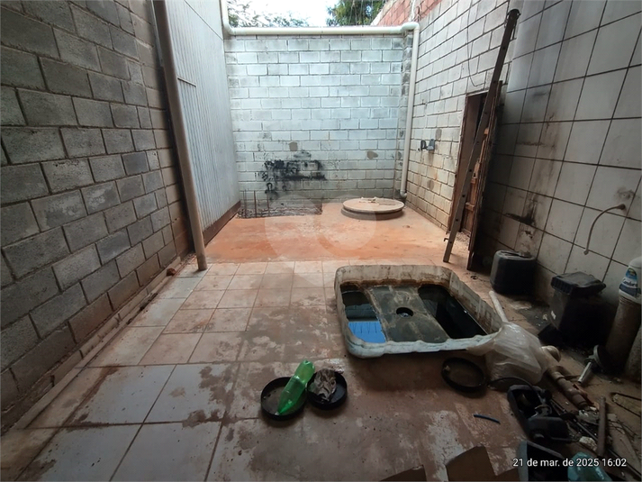 Foto REO1076242