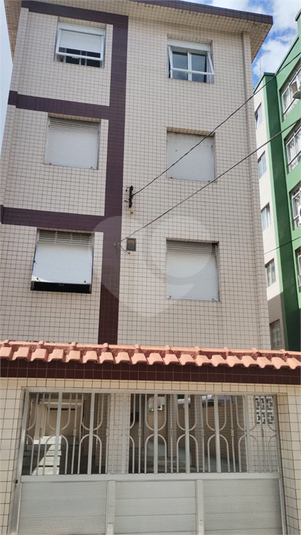 Foto REO1076266