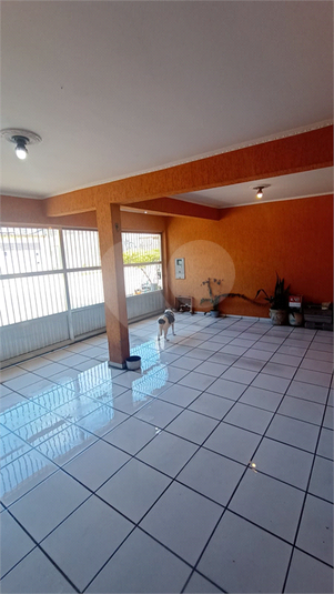Foto REO1076267