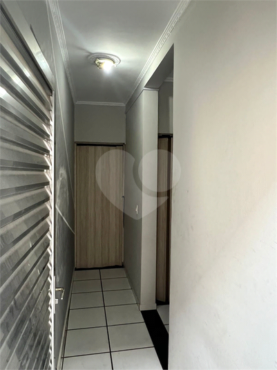 Foto REO1076267