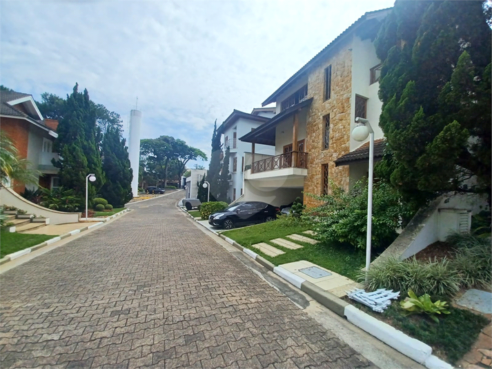 Foto REO1076276