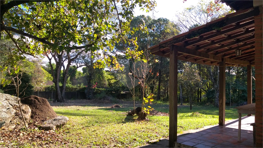 Foto REO1076293