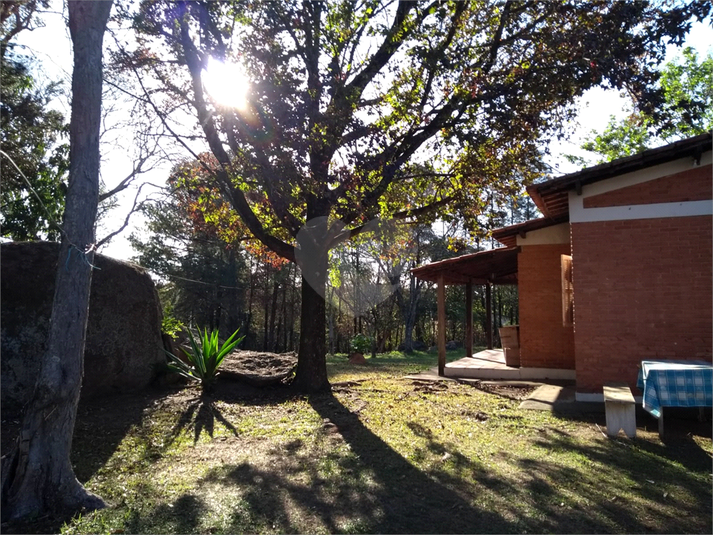 Foto REO1076293