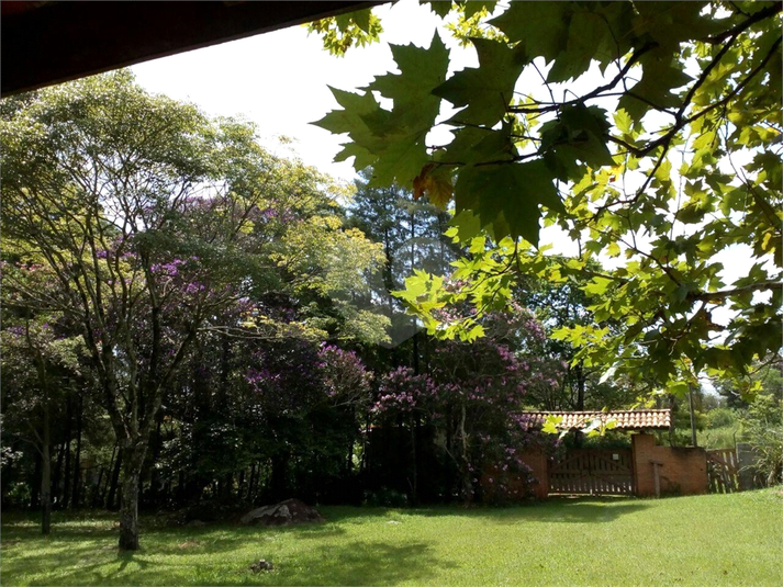 Foto REO1076293