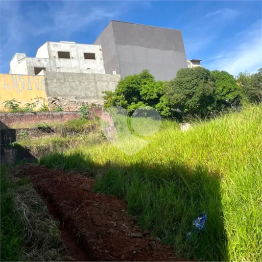 Foto REO1076298