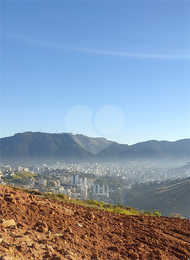 Foto REO1076347