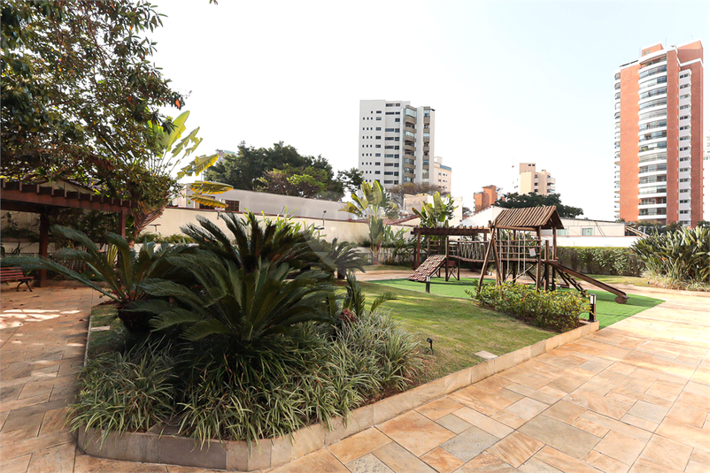 Foto REO1076349