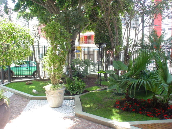 Foto REO1076378