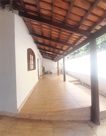 Foto REO1076385