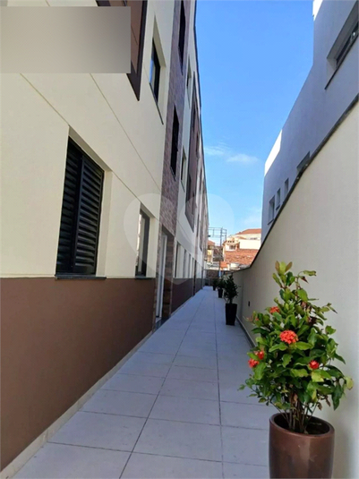 Foto REO1076409