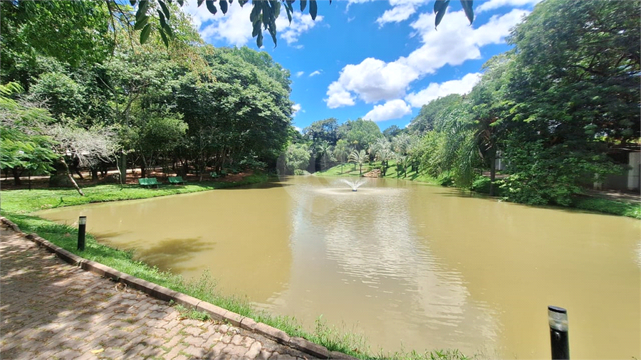 Foto REO1076412
