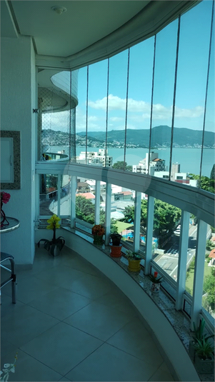 Foto REO1076421