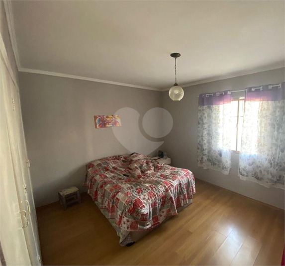 Foto REO1076427