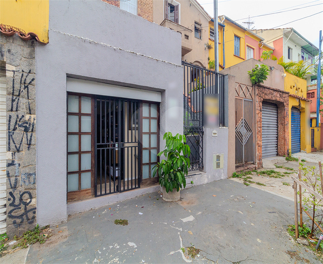 Foto REO1076428