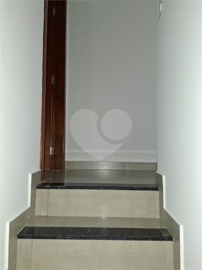 Foto REO1076441