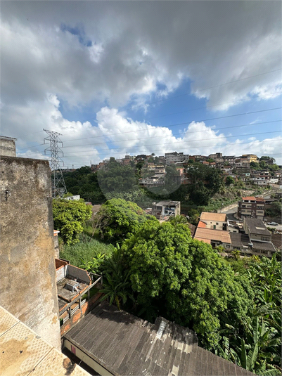 Foto REO1076448