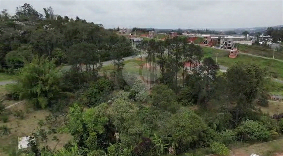 Foto REO1076470