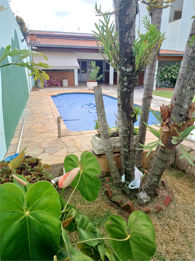 Foto REO1076484