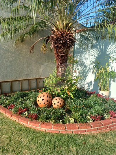 Foto REO1076484