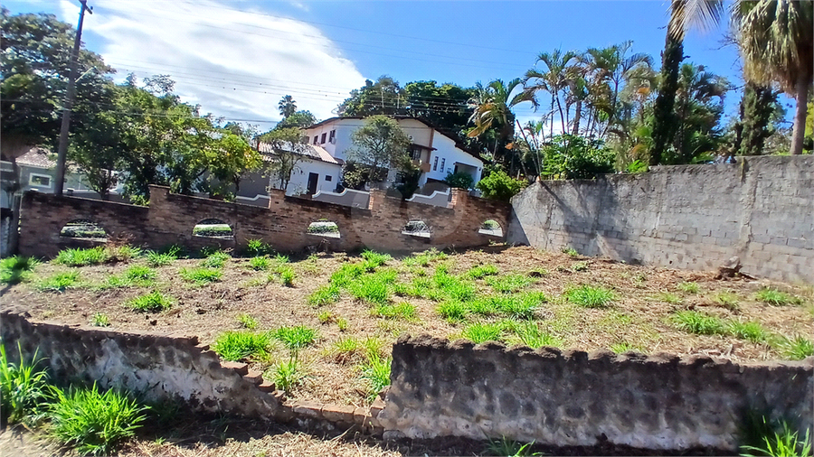 Foto REO1076487