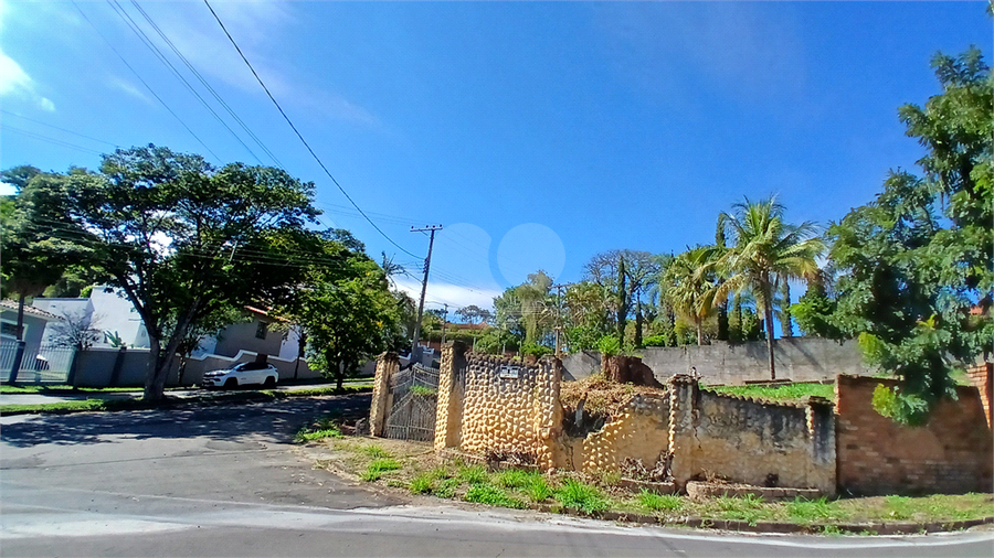 Foto REO1076487