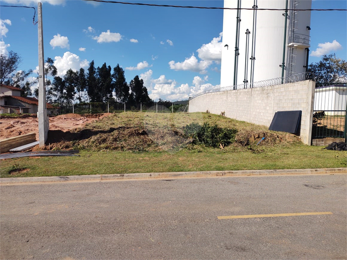 Foto REO1076492