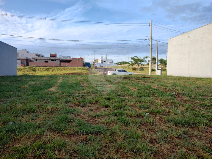 Foto REO1076518