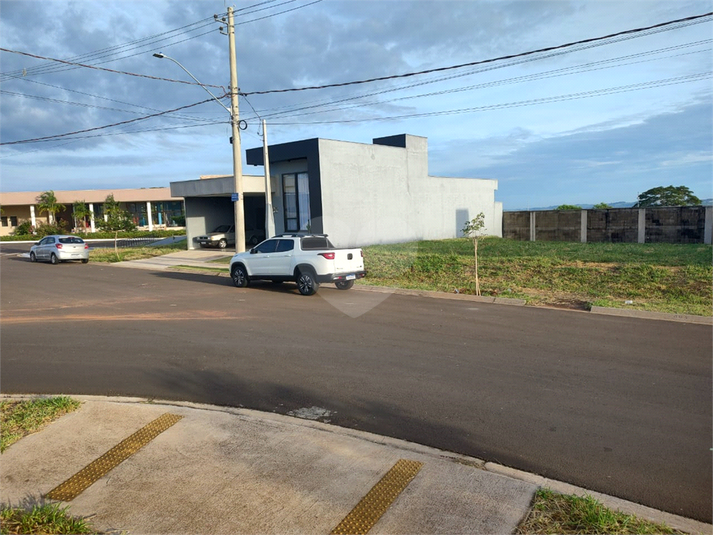 Foto REO1076518