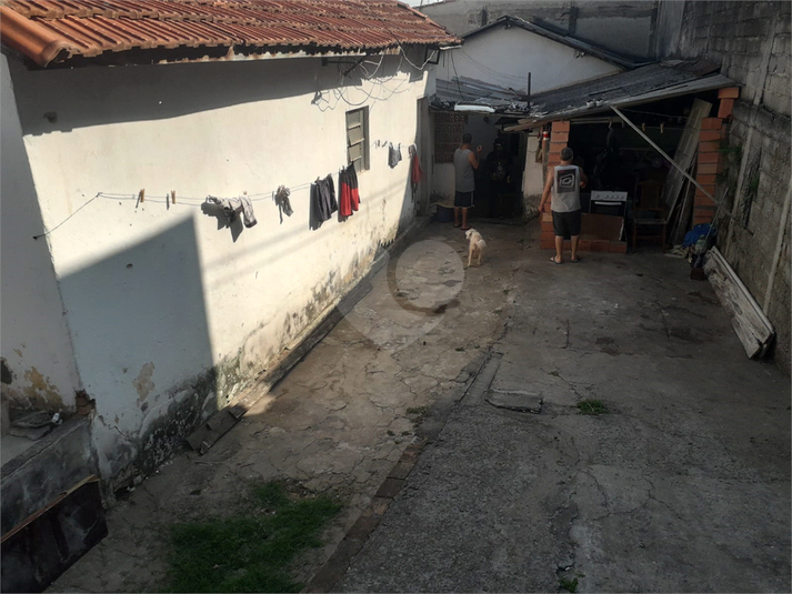 Foto REO1076535