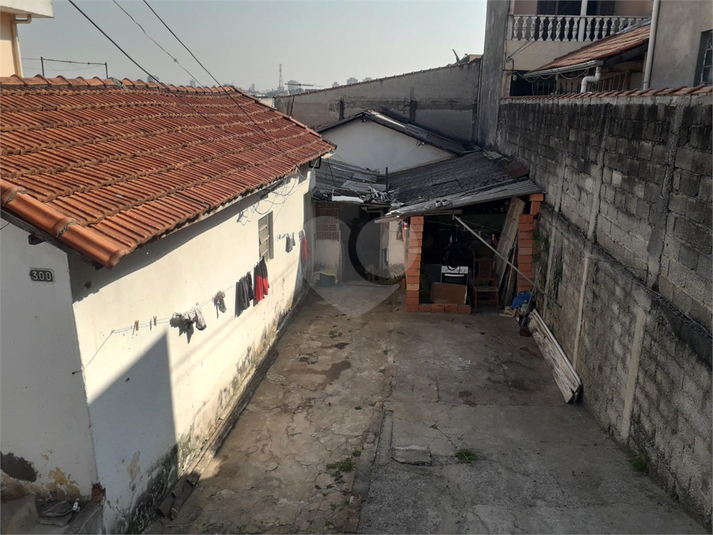 Foto REO1076535