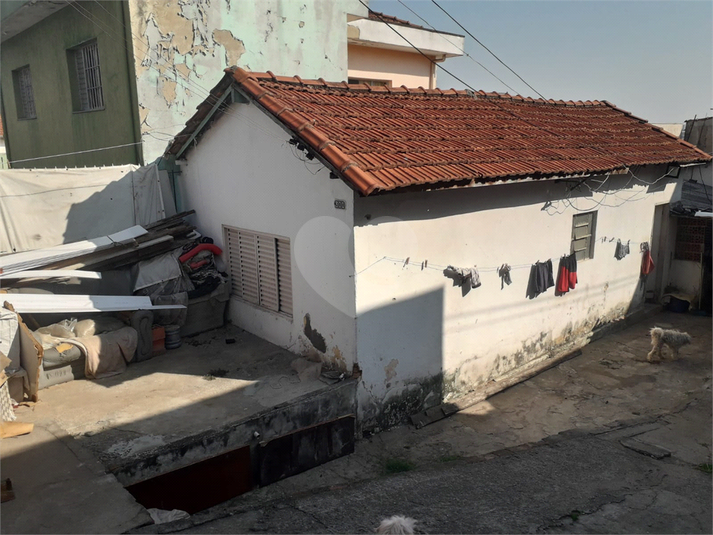 Foto REO1076535