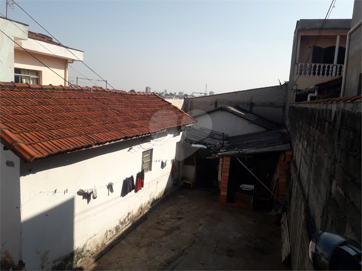 Foto REO1076535