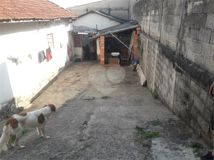 Foto REO1076535