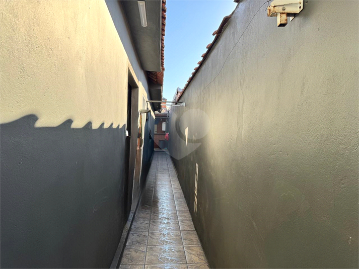 Foto REO1076541