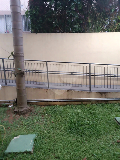 Foto REO1076542