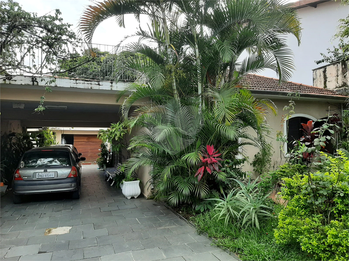 Foto REO1076548