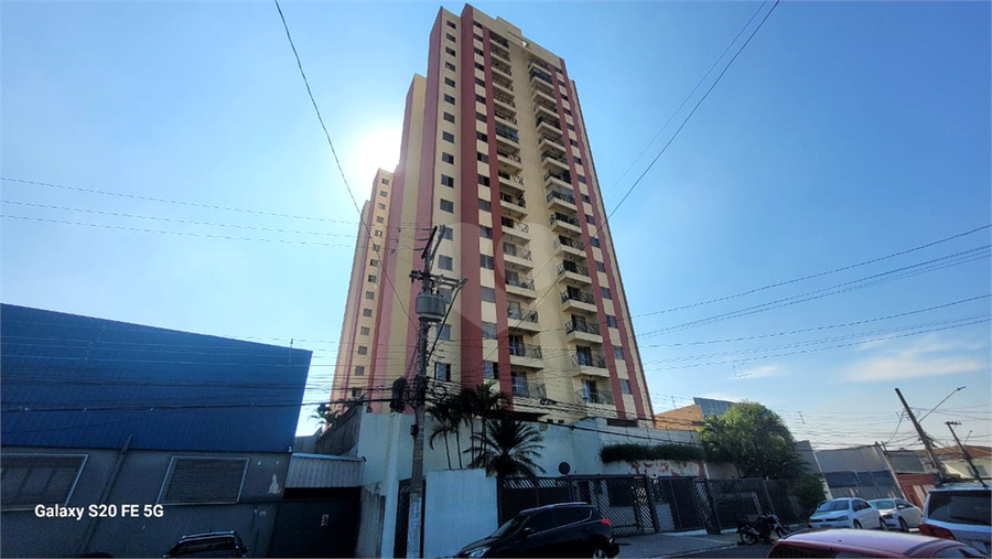 Foto REO1076608